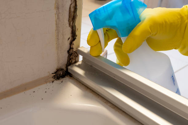 Water Damage Restoration in Lamar, TX